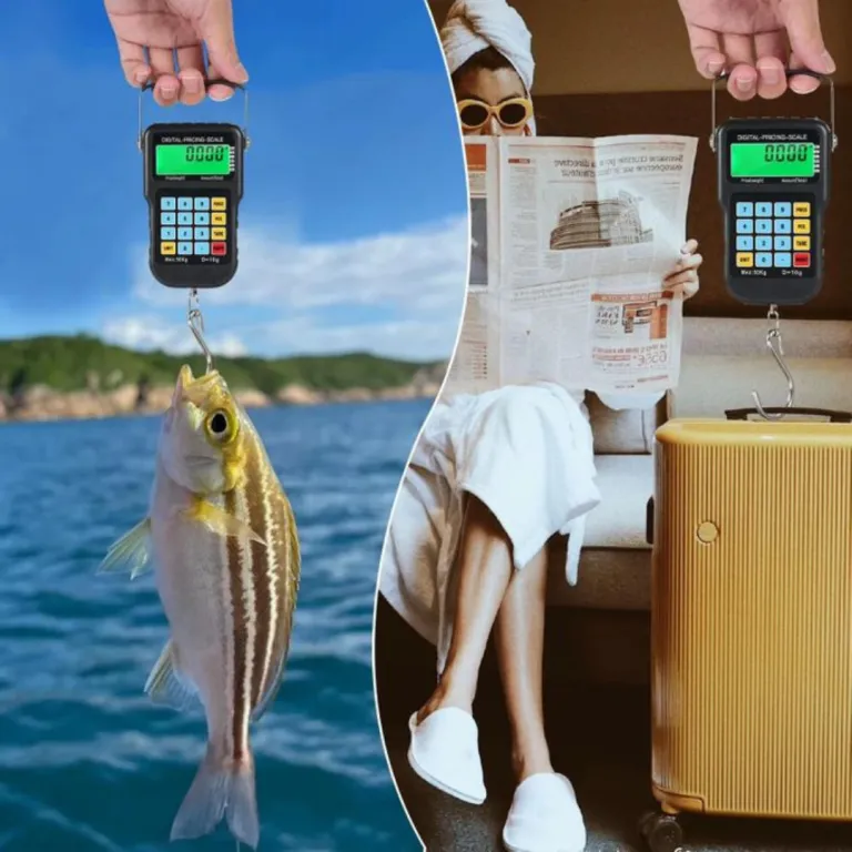 Balance compacte avec calculateur de prix, pesée précise pour usage quotidien polyvalent.