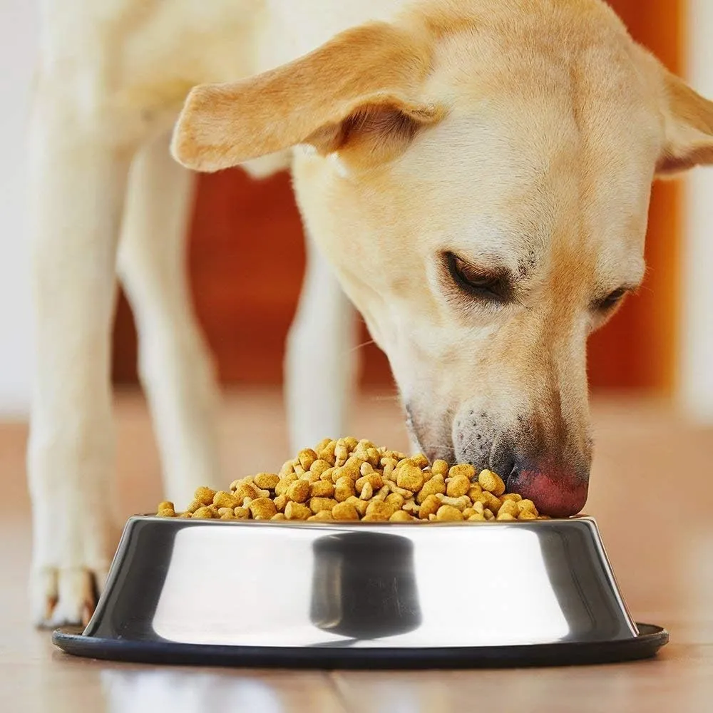 Gamelles pour animaux antidérapantes en acier inoxydable : eau et nourriture pour chiens et chats