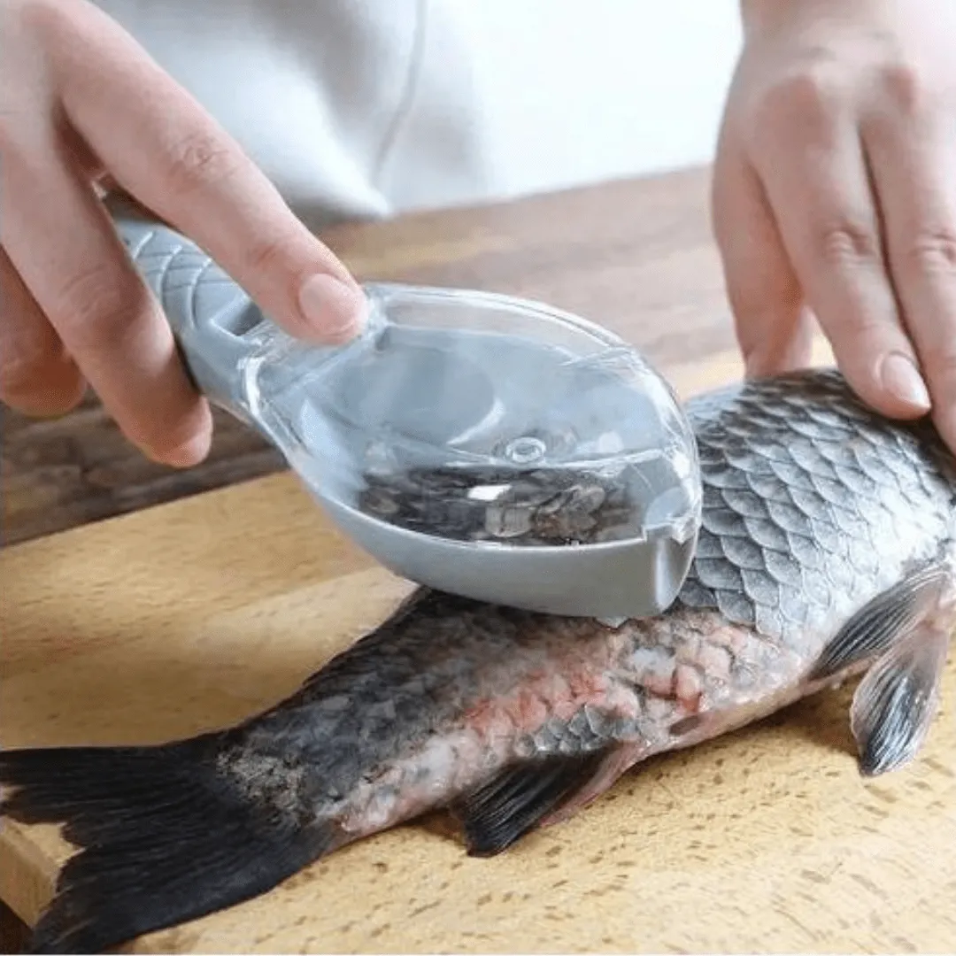 Outil de nettoyage pour écailles de poisson, grattoir dissolvant pour une préparation facile.