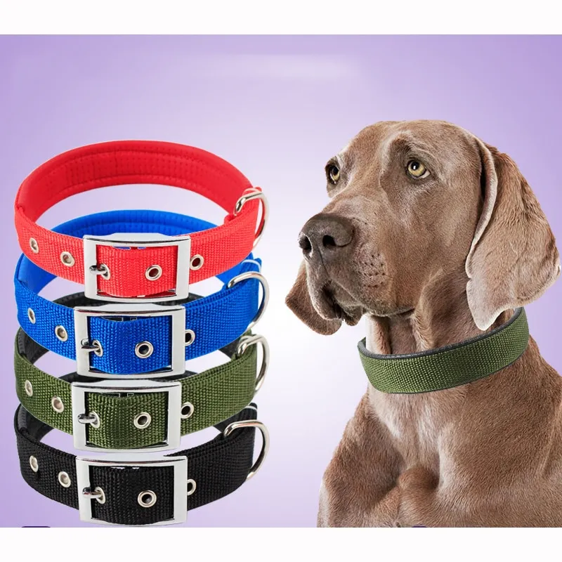 Collier de chien en nylon ultra résistant pour une sécurité maximale (colleur aléatoire)
