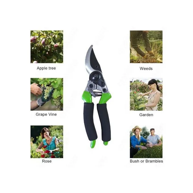 Ciseaux de Taille de Jardinage Précision Professionnelle Haut de Gamme