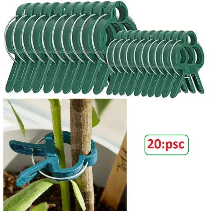 Élégance et fonctionnalité 20 pinces astucieuses pour embellir vos roses et autres plantes grimpantes avec facilité