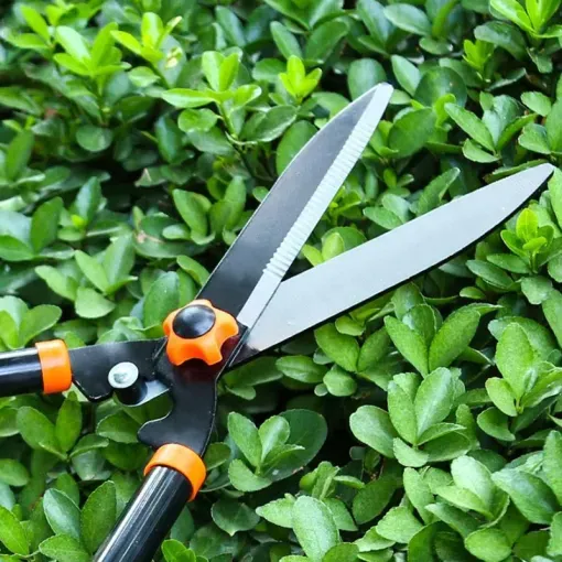 Ciseaux à Long Manche pour Jardin