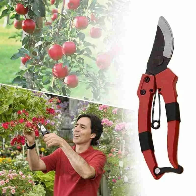 Ciseaux de Coupe à Cliquet en Acier Inoxydable