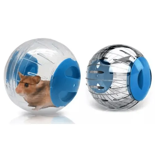 La Roue d'Exercice Interactive pour Hamster