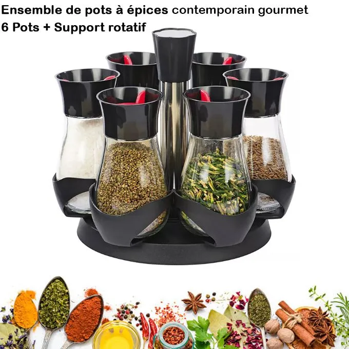 Épicez votre cuisine avec élégance Ensemble de 6 Pots à Épices Contemporains