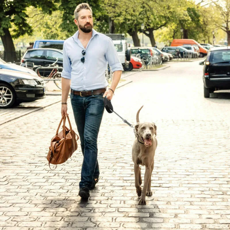 Ceinture de Traction en Nylon pour Promener votre Animal avec Style