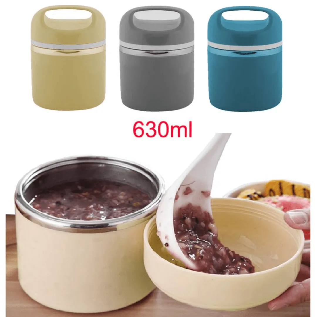 Boîte à lunch élégante et Pratique en acier inoxydable (colleur aléatoire)
