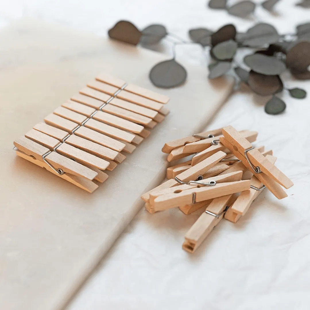 Pinces à linge en bois Lot de 10 pièces pour les travaux manuels