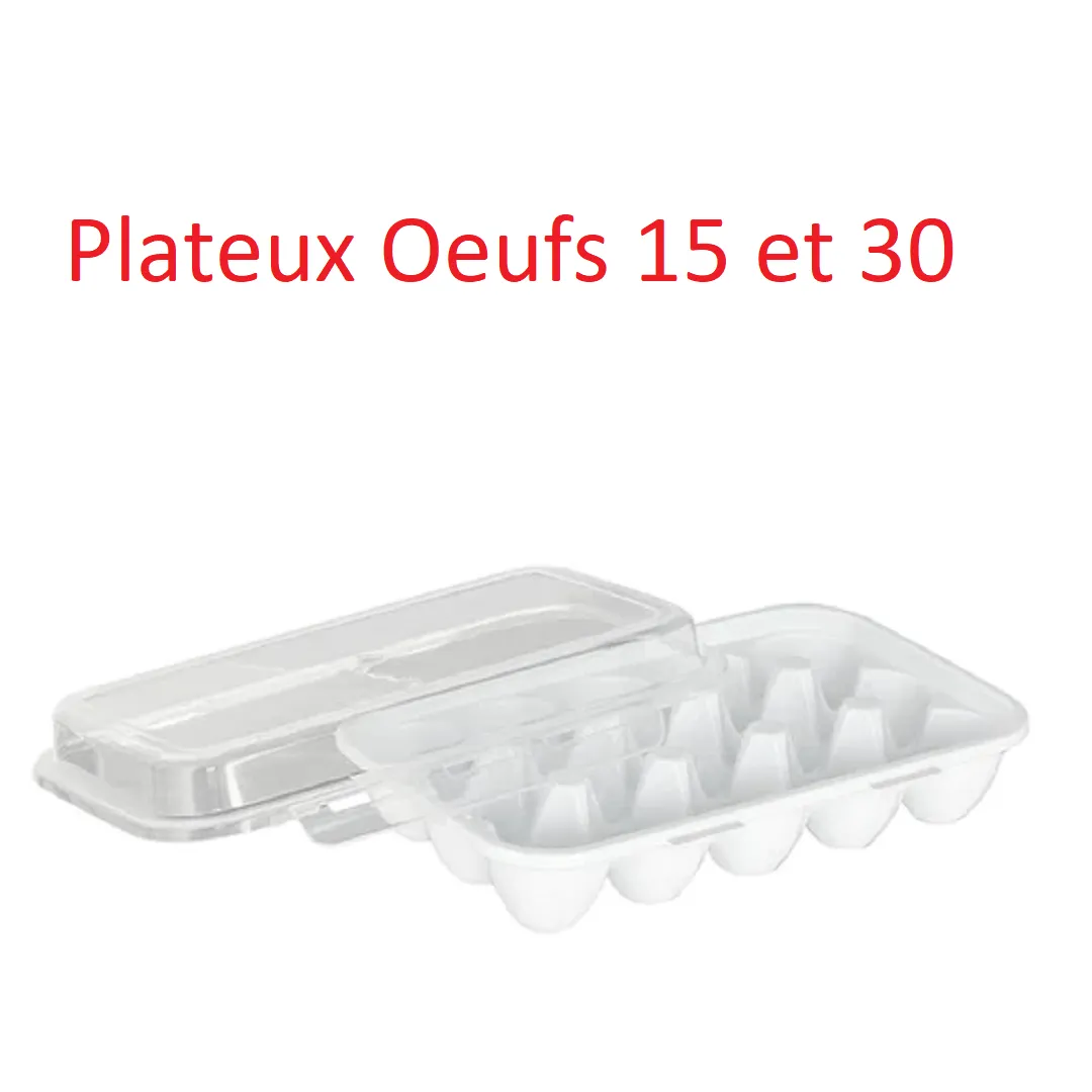 Boîte de rangement des œufs au réfrigérateur, Support d oeufs