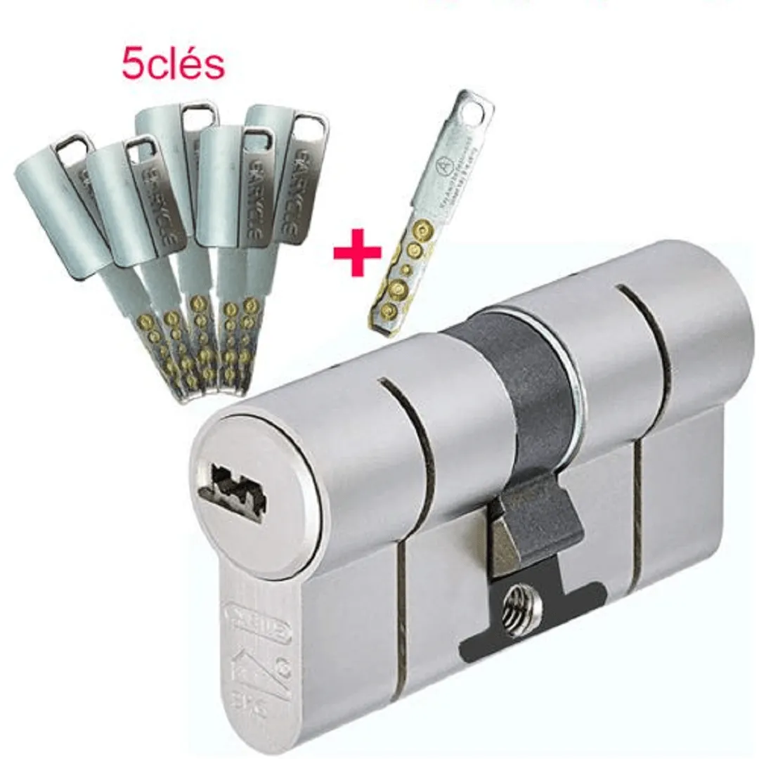 Cylindre serrure professionnel de Haute protection + 5 clés