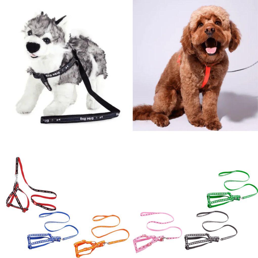 Harnais de poitrine ajustable pour chiens de grande taille (colleur aléatoire)
