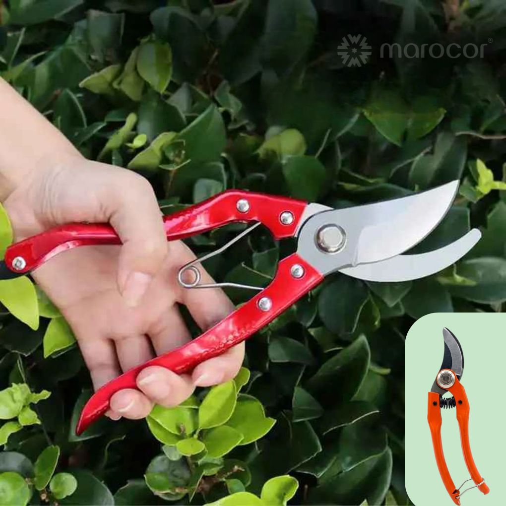 Ciseaux de jardinage en acier carbone haute qualité pour plantes