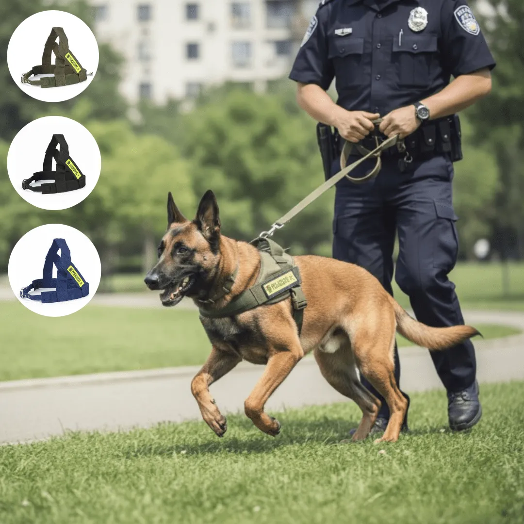 Ceinture de sécurité canine en nylon robuste pour chiens de toutes tailles (colleur aléatoire)