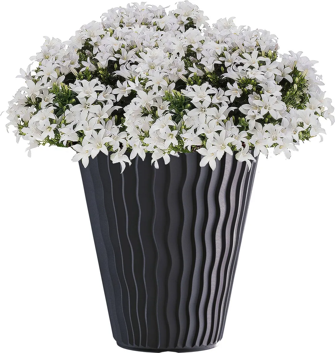 Élégant Pot de Fleurs Rond en Plastique 12.5 L Une Touche de Modernité pour Votre Jardin