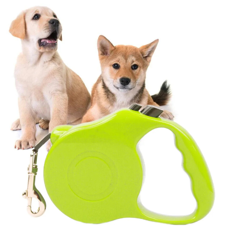 Laisse Rétractable 5 Mètres avec Corde Solide