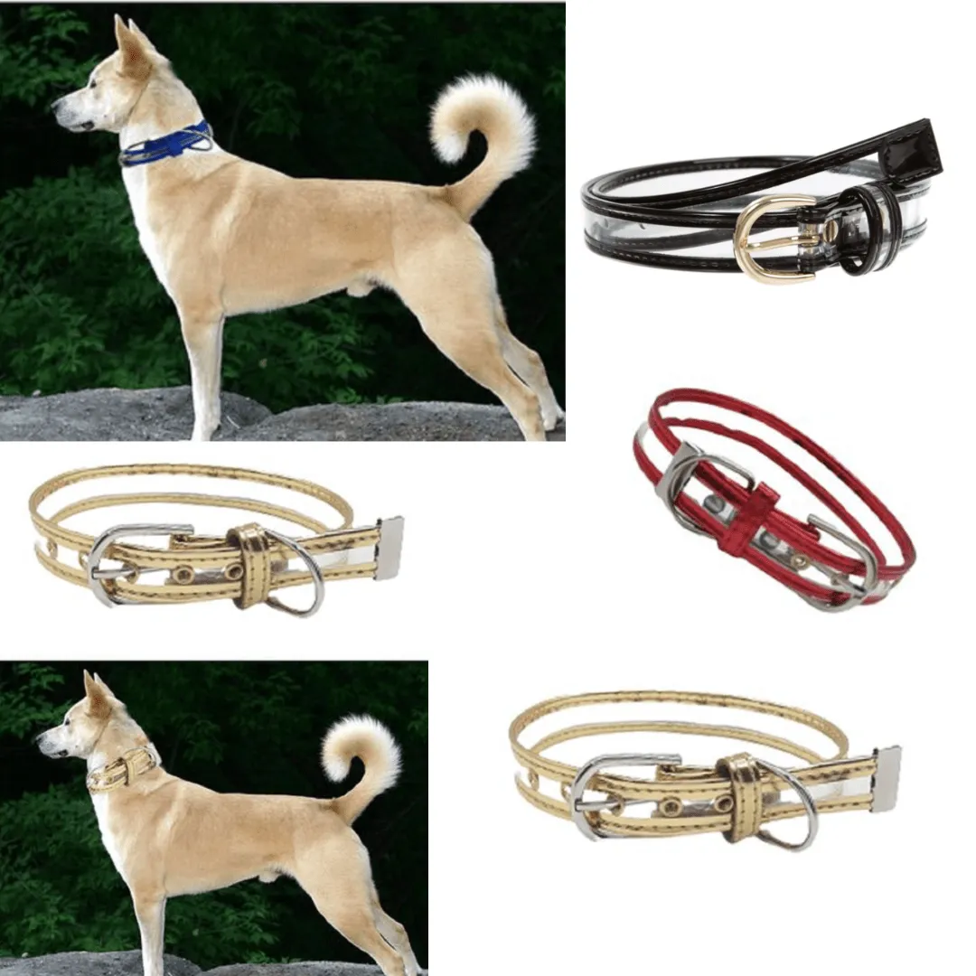 Ceinture pour chien et chat mignonne, Collier pour animaux de compagnie (colleur aléatoire)
