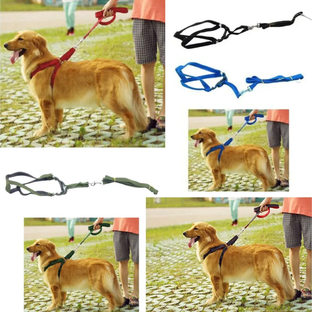 Harnais pour animaux de compagnie, ensemble de laisses pour chiens (colleur aléatoire)