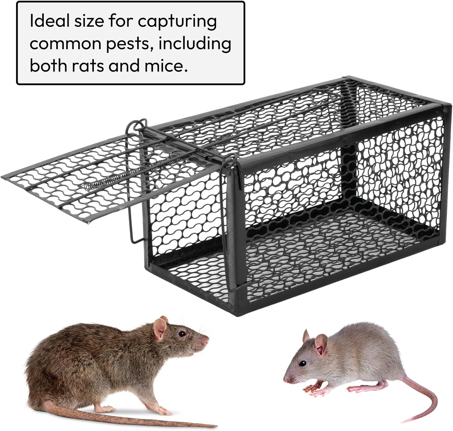 Piège à rats KCT sans cruauté, appât, capture de rongeurs et souris, pour intérieur et extérieur, sans danger