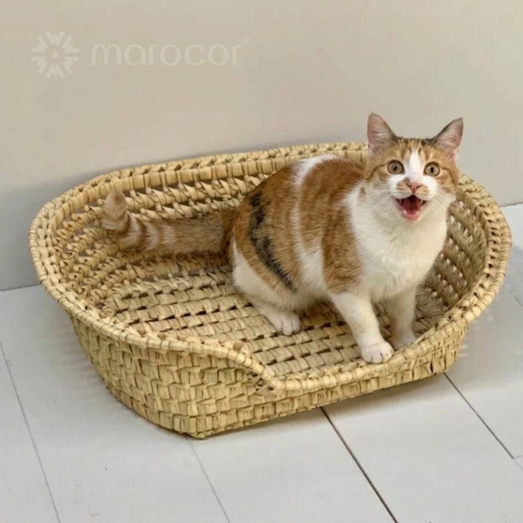 Lit de Repos Artisanal Ovale en Osier Tressé pour Animaux de Compagnie