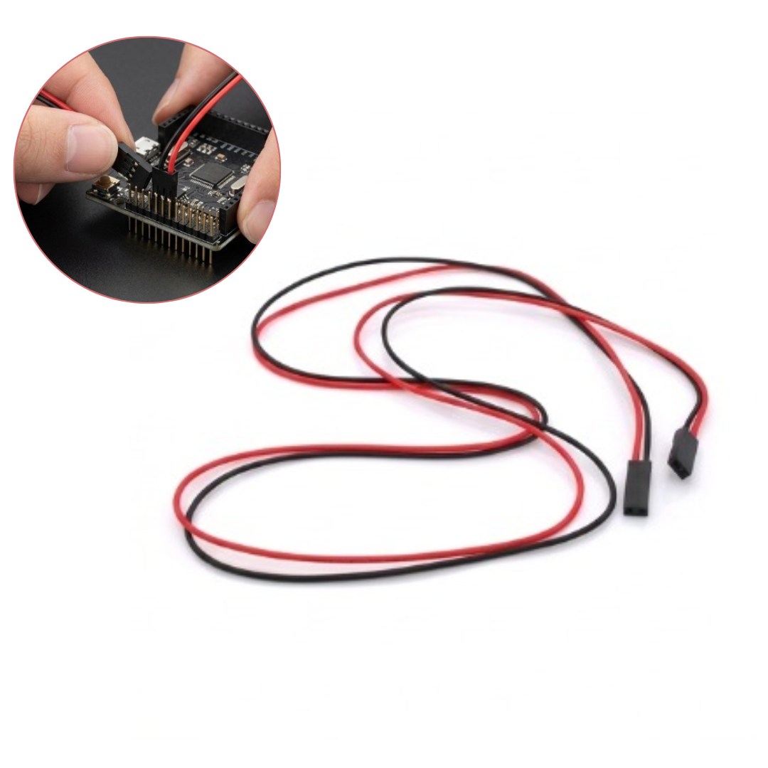 Câble Dupont 2 voies pour connexions électroniques