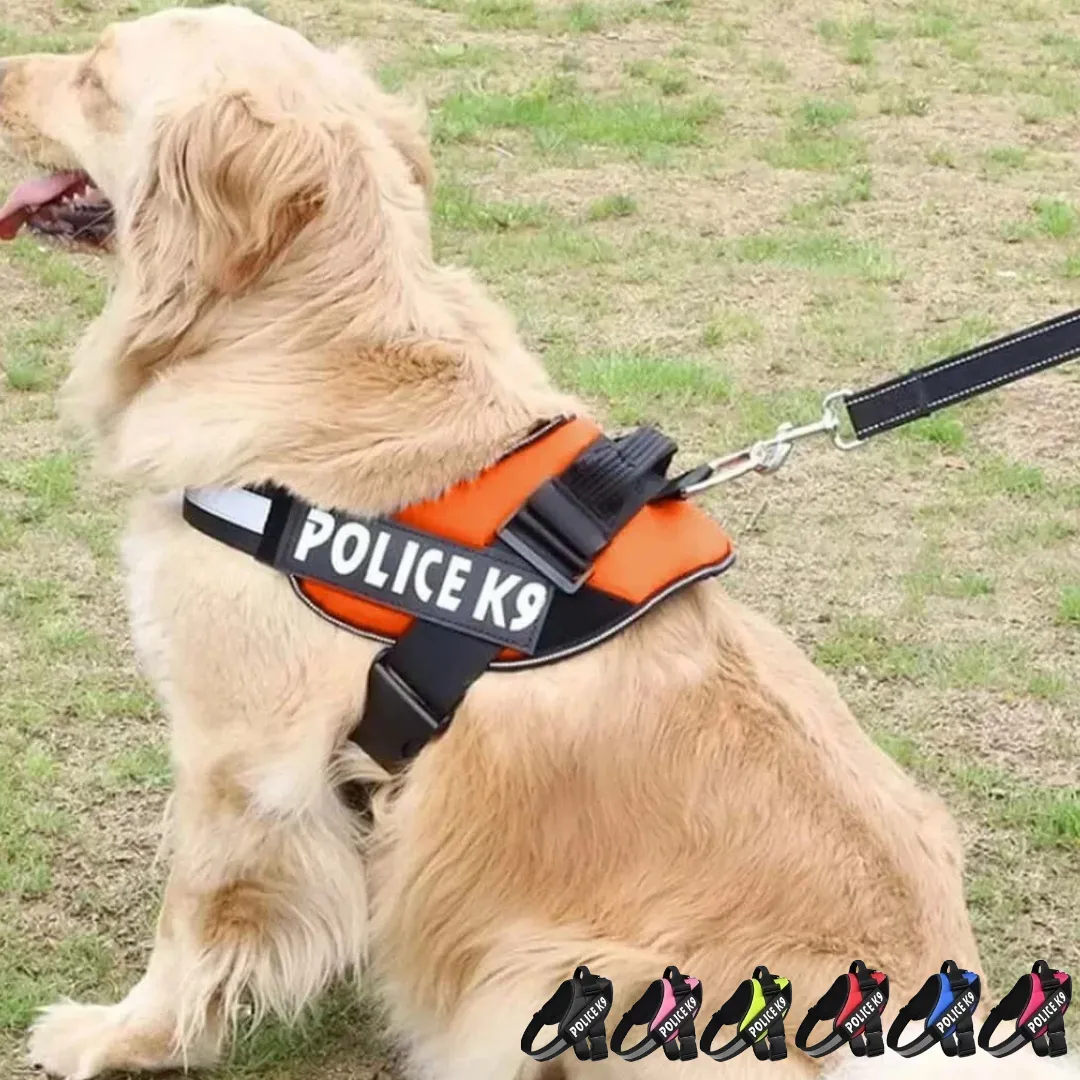 Laisse de dressage anti-traction pour chien - couleur aléatoire